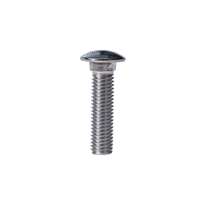 SS304 GB12-76 m10 taza de cabeza de cuello cuadrado