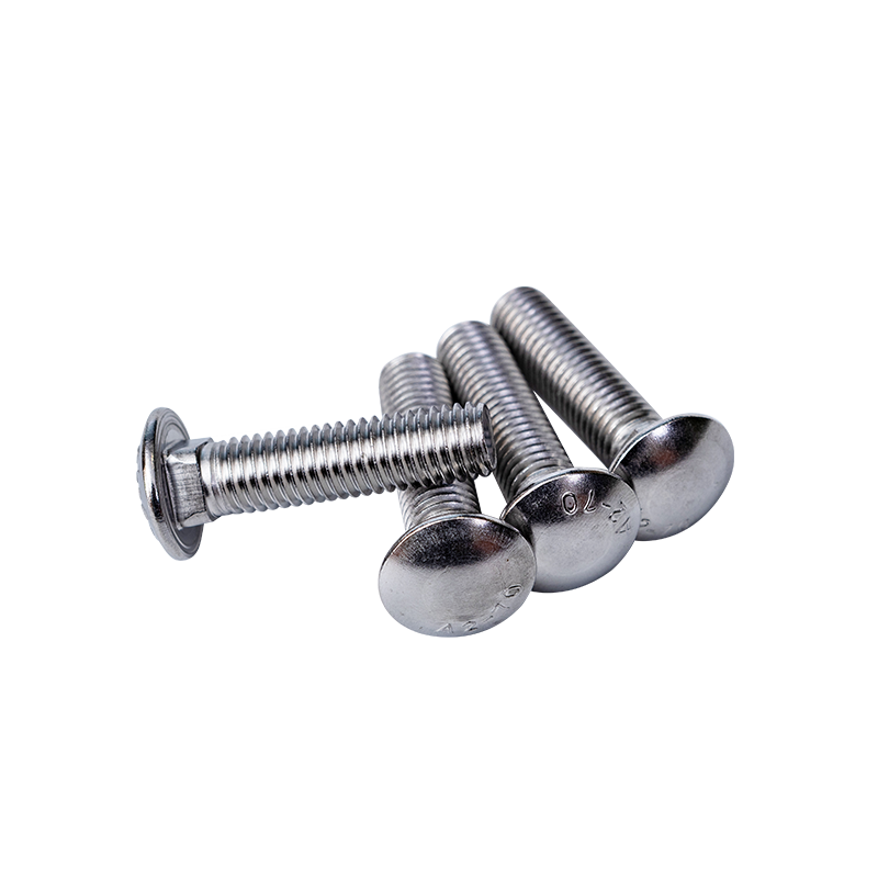 SS304 DIN603 m8 taza de cabeza de cuello cuadrado
