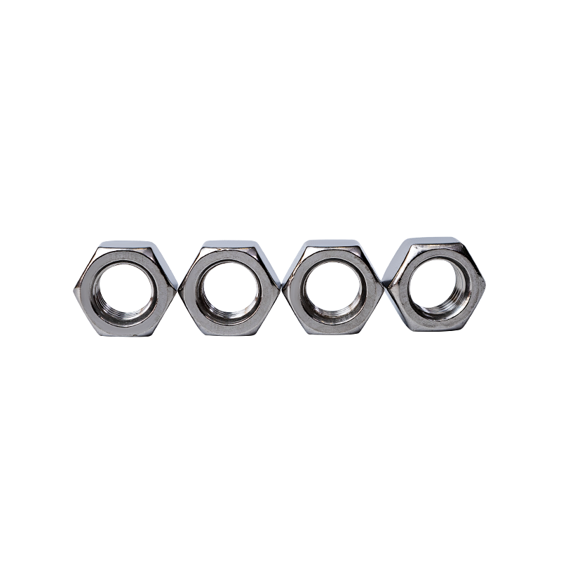 SS316 DIN934 M27 Hex Nuts